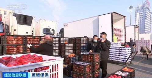 黑龙江最大果蔬批发市场恢复营业 保障居民 菜篮子